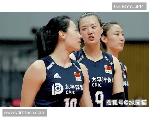 上海排球队以96分稳居锦标赛积分榜首位，领先优势明显